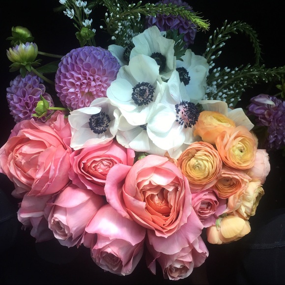 Meet your Posher, Ann - Picture 1 of 1